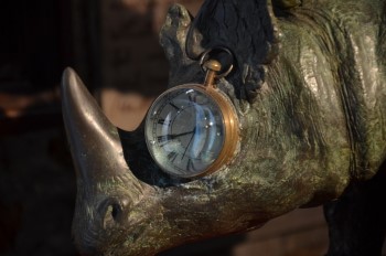 gigi bon rinoceronte salvaguardia tempo
